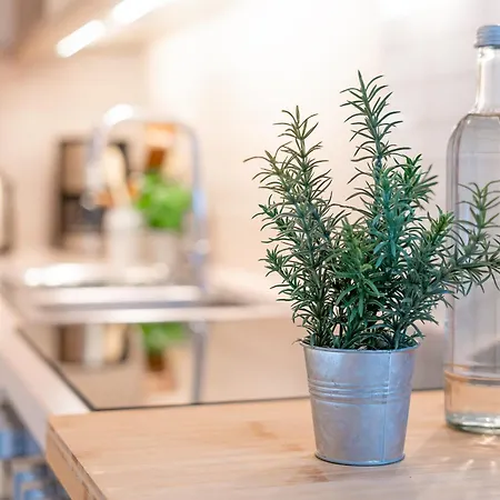 Dreiseenhaus Apartman Malente