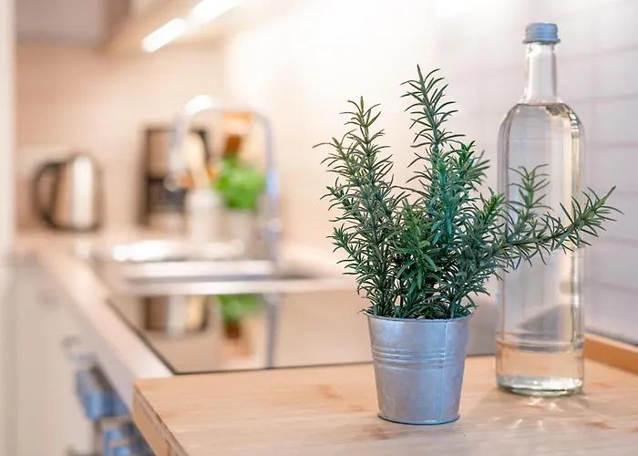 Dreiseenhaus Lägenhet Malente